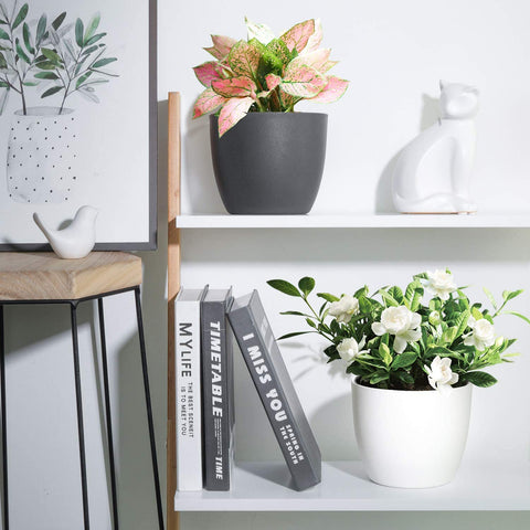 Self Watering Planters Plastic Plant Pot