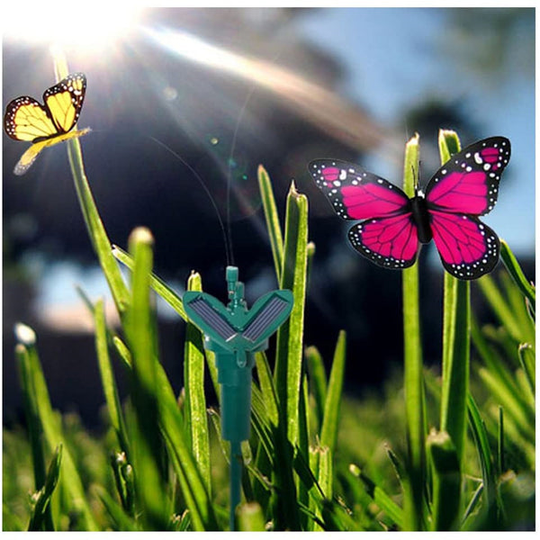 Solar Butterfly