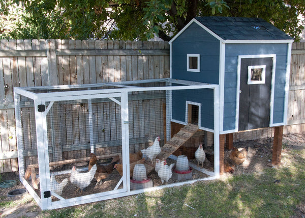 Chicken Coop Plans