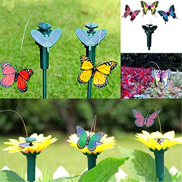 Solar Butterfly