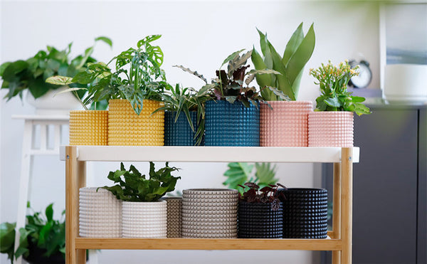 Black Ceramic Vintage Style Hobnail Patterned Planter Pots