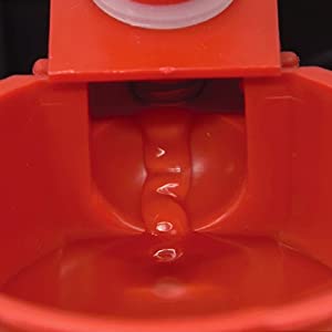 Automatic Chicken Water Cup