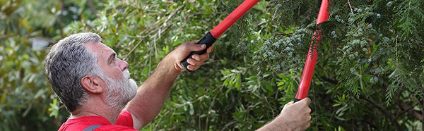 Classic 28 Inch Tree Trimmer
