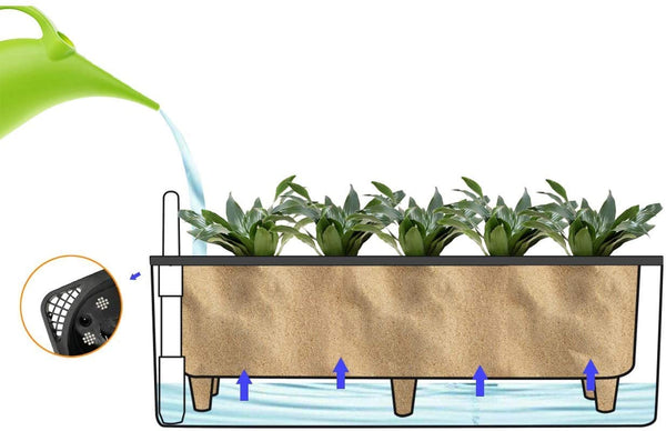Elongated Self Watering Planter Pots