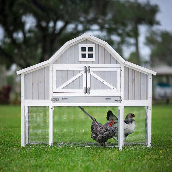 Chicken Coop Plans