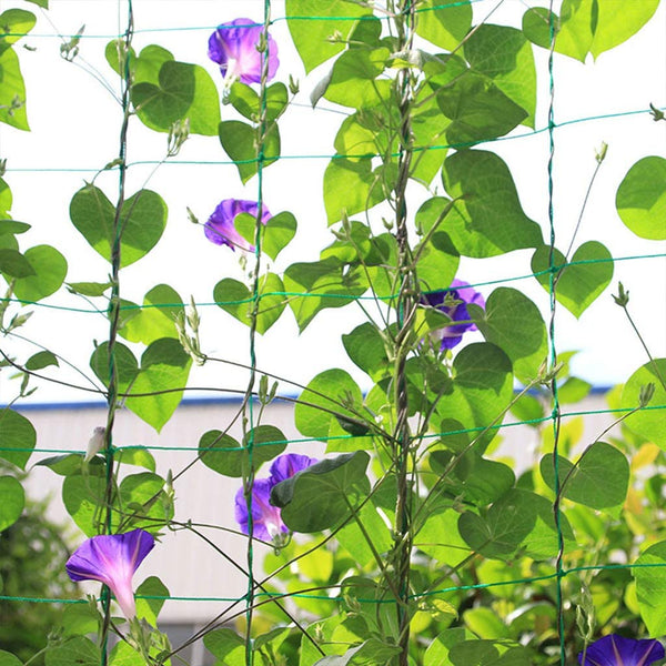 Garden Plant Trellis Netting