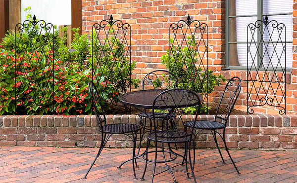 Clematis trellis