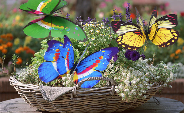 Giant butterfly decorations