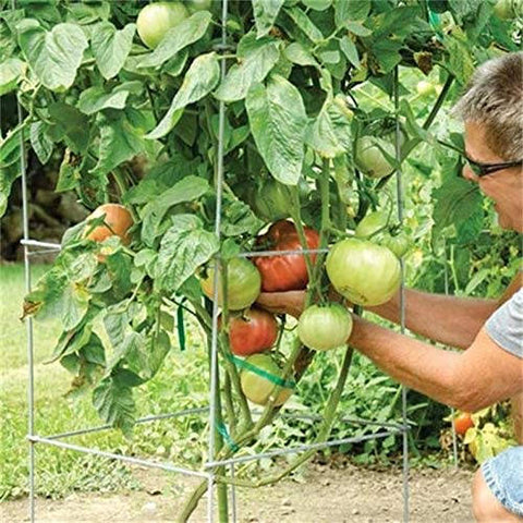 Green Square Folding Tomato Cage Plant Support Tower