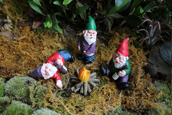 Three Garden Gnomes+Bonfire