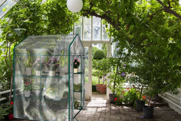 Home-Complete Walk-In Greenhouse- Indoor Outdoor