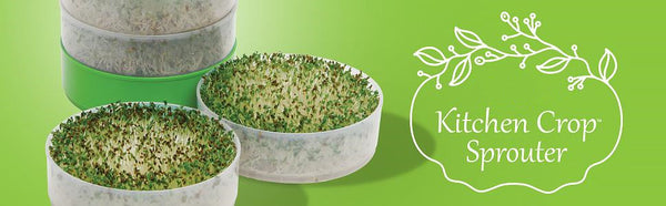 Kitchen Seed Sprouter