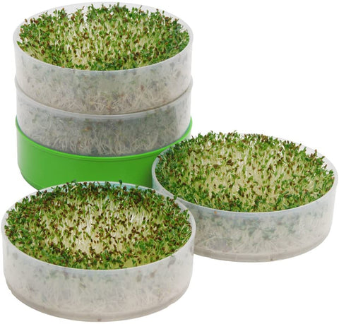 Kitchen Seed Sprouter