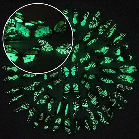 Luminous Butterfly Stakes and Luminous Dragonfly Stakes