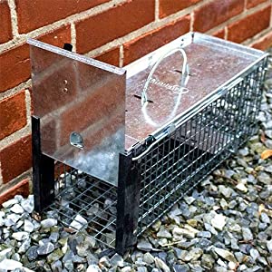 One-Door Animal Trap for Chipmunk, Squirrel, Rat, and Weasel