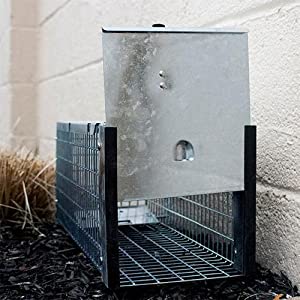 One-Door Animal Trap for Chipmunk, Squirrel, Rat, and Weasel