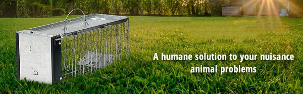 One-Door Animal Trap for Chipmunk, Squirrel, Rat, and Weasel