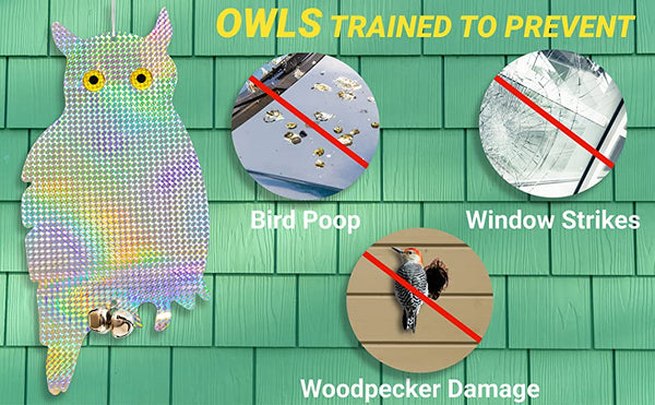 Owl Decoy Bird Repellent Control Scare Device