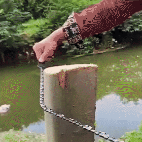 Portable Chain Saw