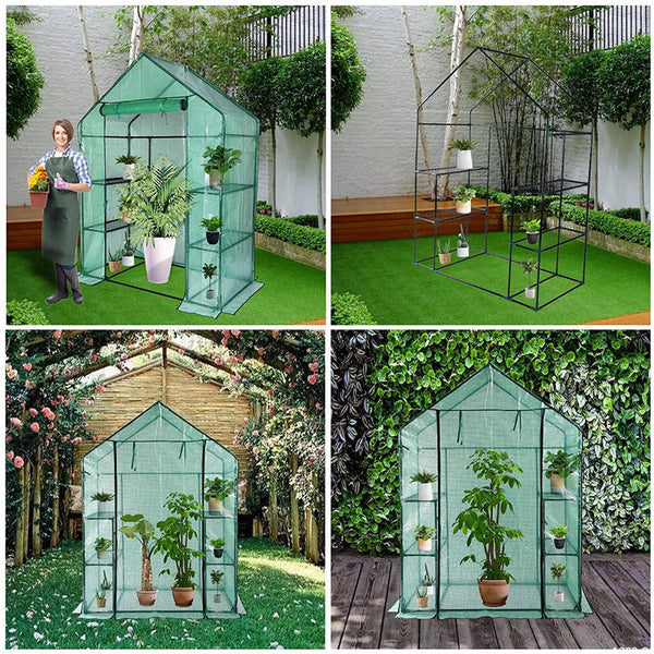 Indoor and Outdoor Greenhouse