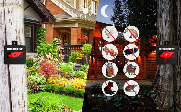 Predator Eye Night Time Solar Powered Animal Repeller, Waterproof, Animal Control, Nocturnal Animals, Outdoor Use