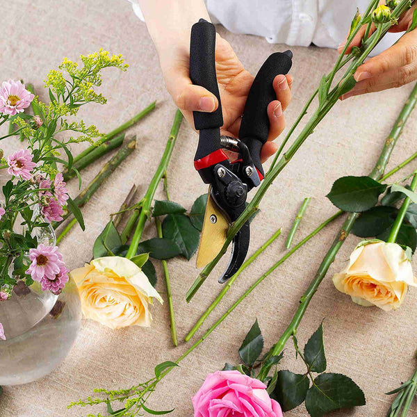 Pruning Shears,8" Professional, Garden Scissors