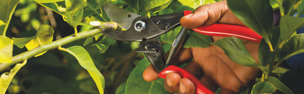Pruning Shears 8.3-inch