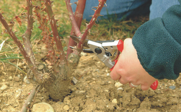 Pruning Shears 8.3-inch