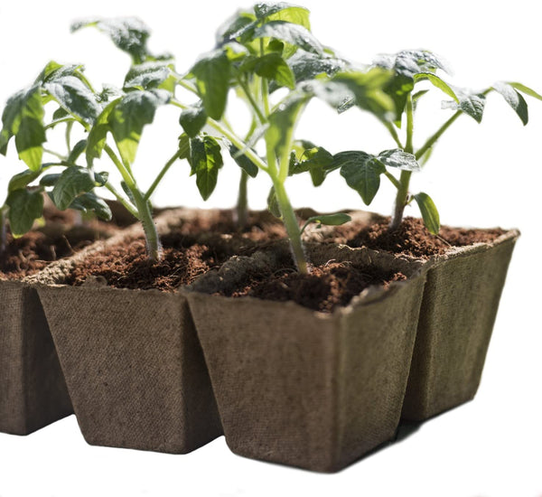 seed starting trays