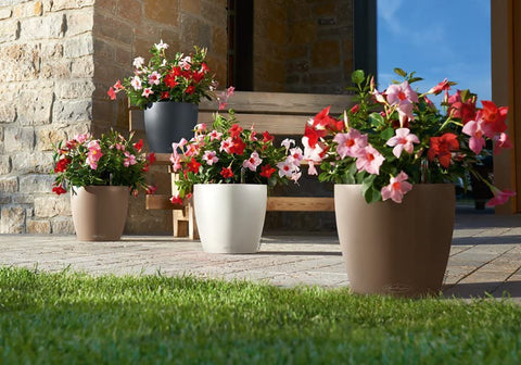 Self-Watering Garden Planter