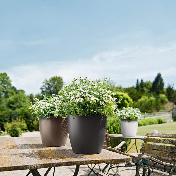 Self-Watering Garden Planter