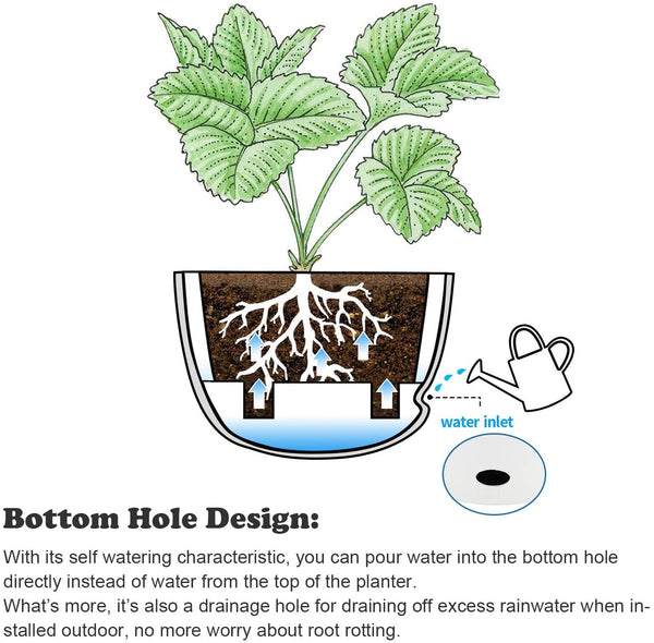 Self Watering Hanging Planter Pot