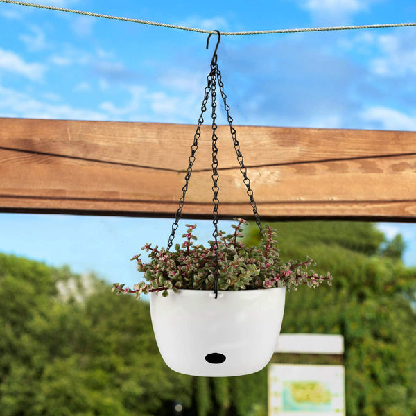 Self Watering Hanging Planter Pot