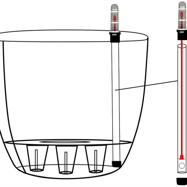 Self Watering Planter