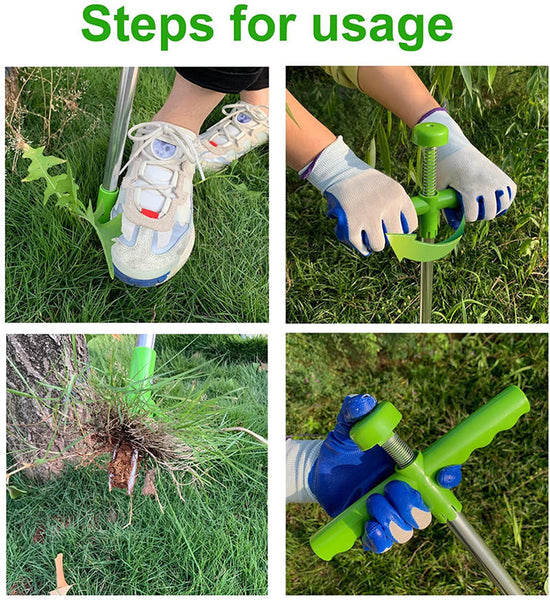 Root Removal Tool
