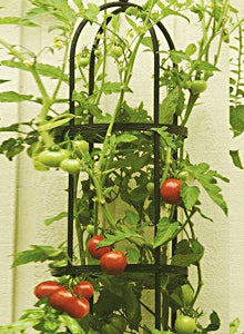 Tower Obelisk Garden Trellis