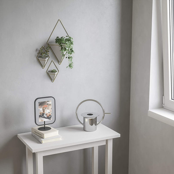 Wall Hanging Planters