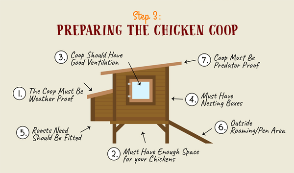 Chicken Coop Plans