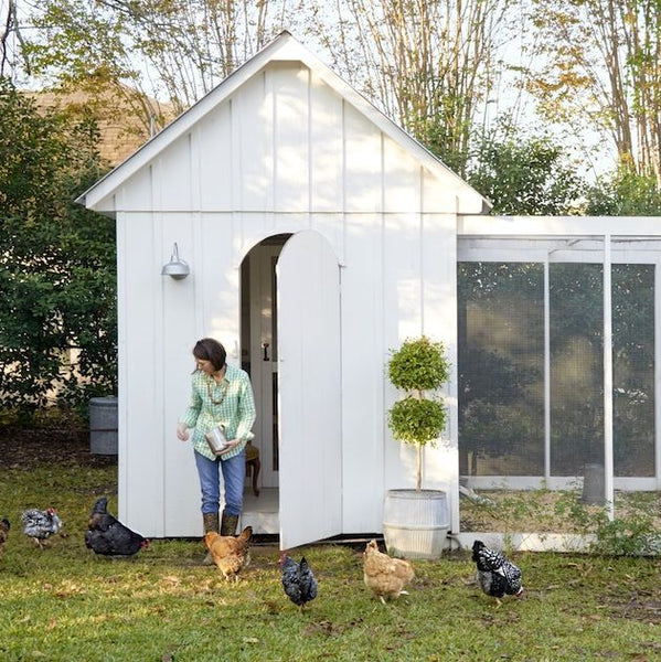 Chicken Coop Plans