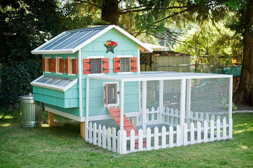 Chicken Coop Plans