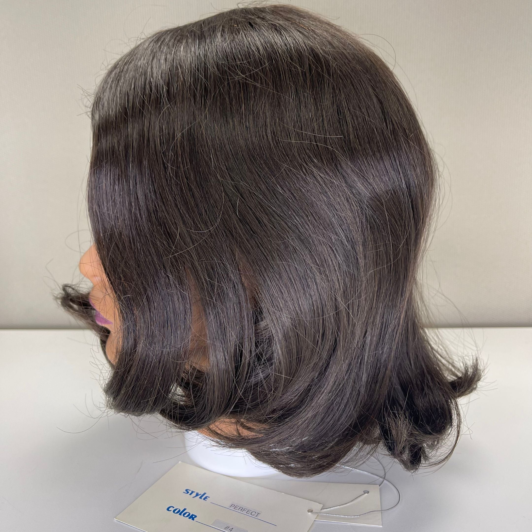 Perfect | Jacquelyn Wigs | Brand New