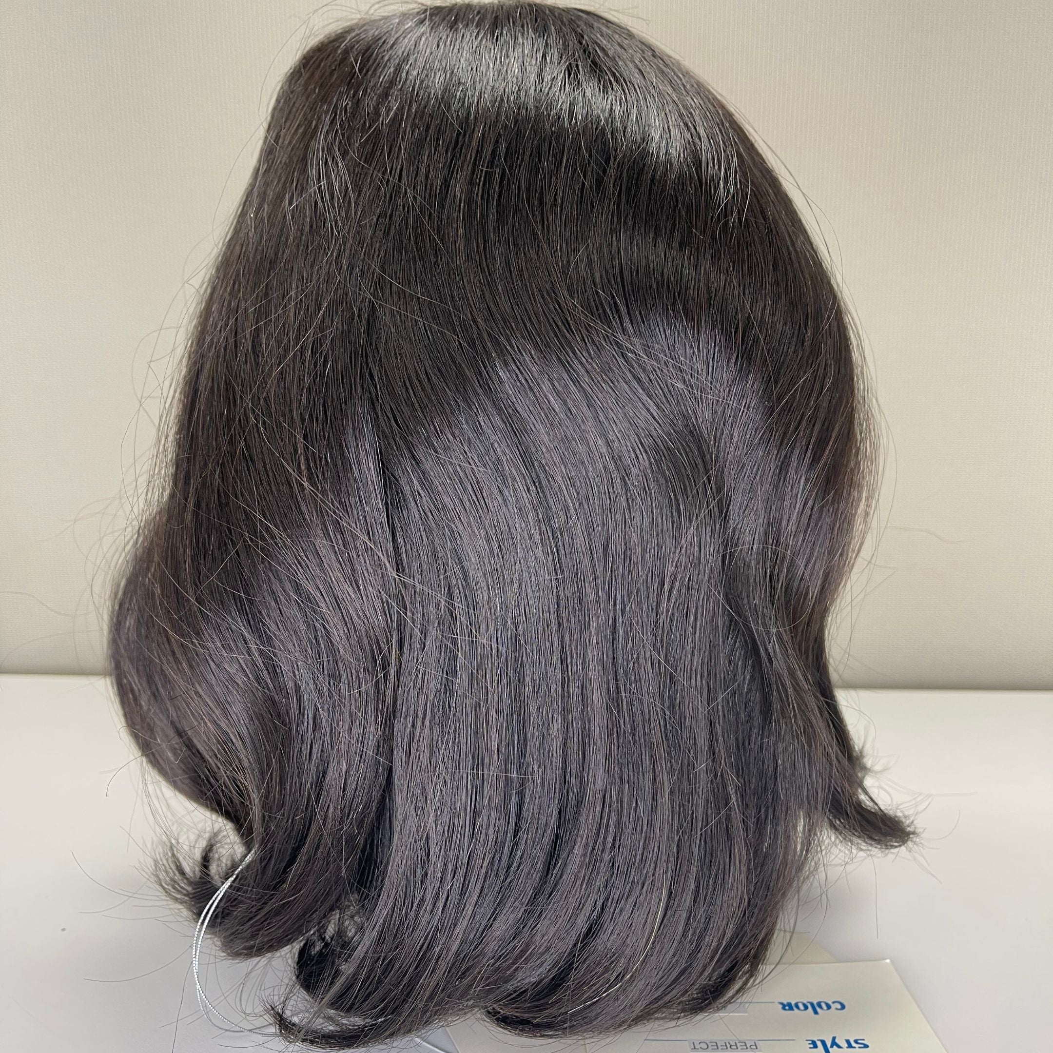 Perfect | Jacquelyn Wigs | Brand New