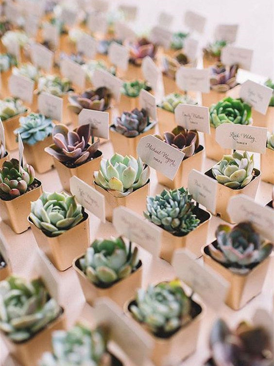 Sustainable Wedding Favors