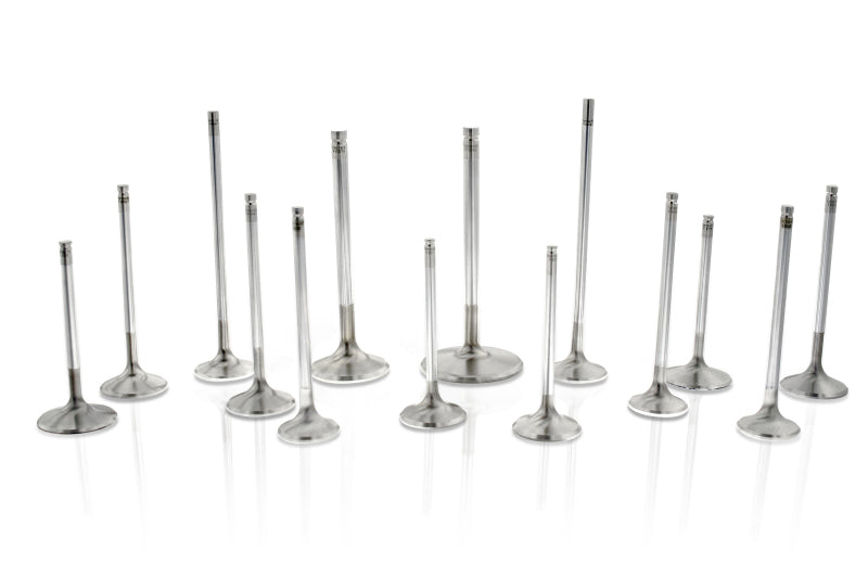 Ferrea Toyota 1FZFE 41mm 6.98mm 98.85mm 19 Deg Flo +3mm Competition Plus Intake Valve - Set of 12