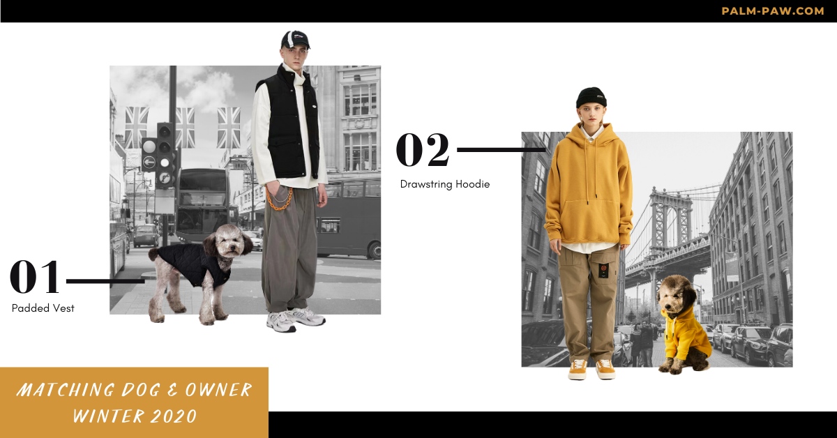 best matching dog and owner outfits