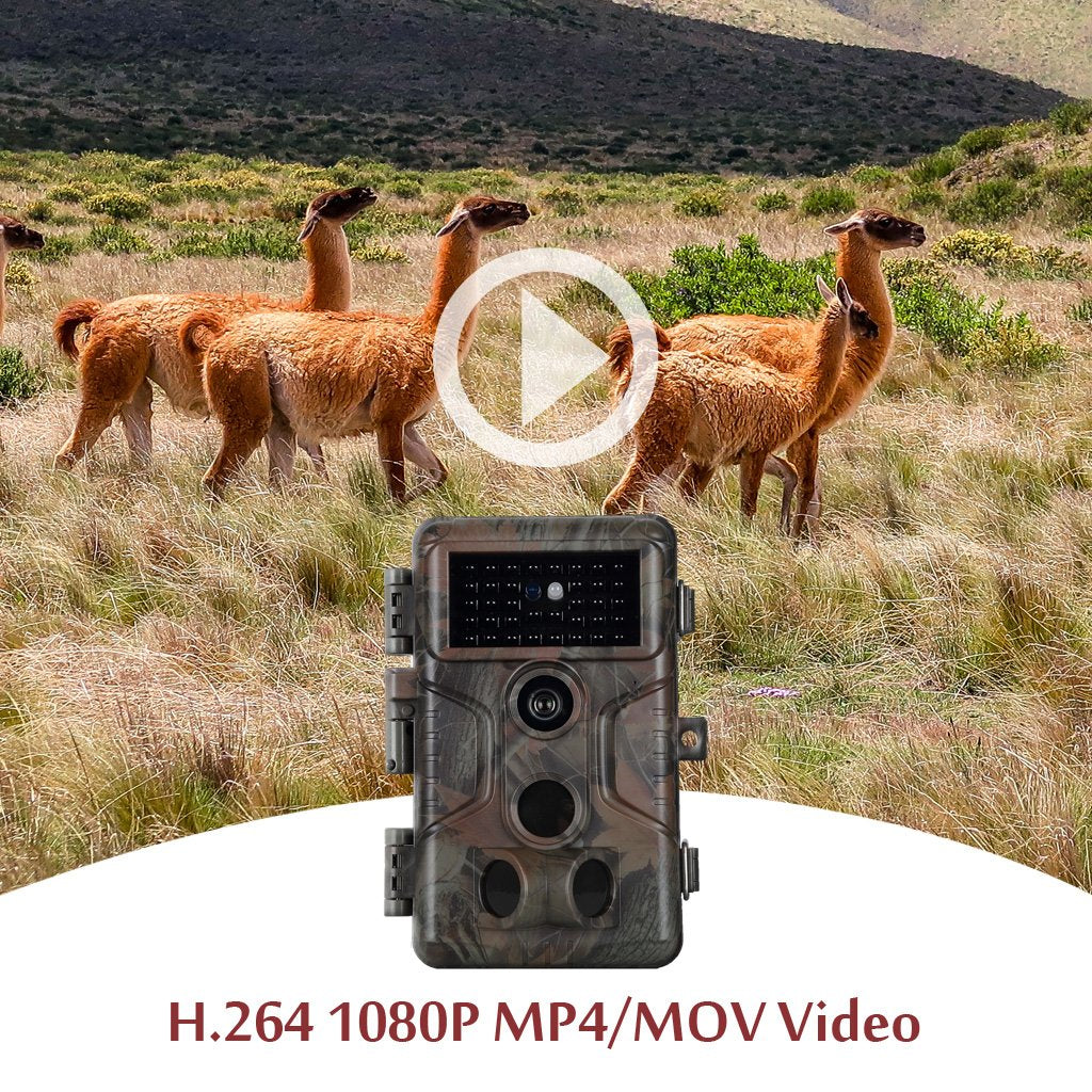 Bewegungmelder IP66 wasserdichte und 0.1S Zeitraffer Wildkamera Nachtsicht Jagd Kamera 20MP HD 1080P H.264 Video mit Unsichtbares Blitz 
