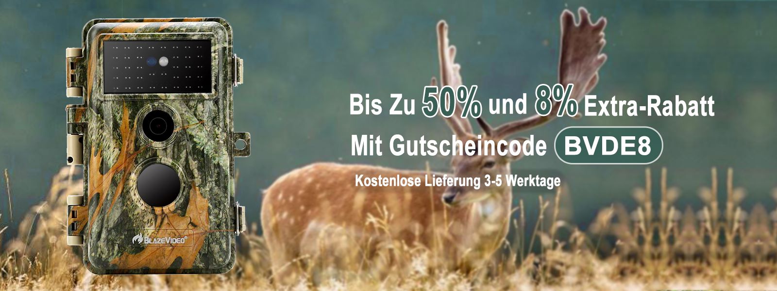 BlazeVideo Angebote, Gutscheine