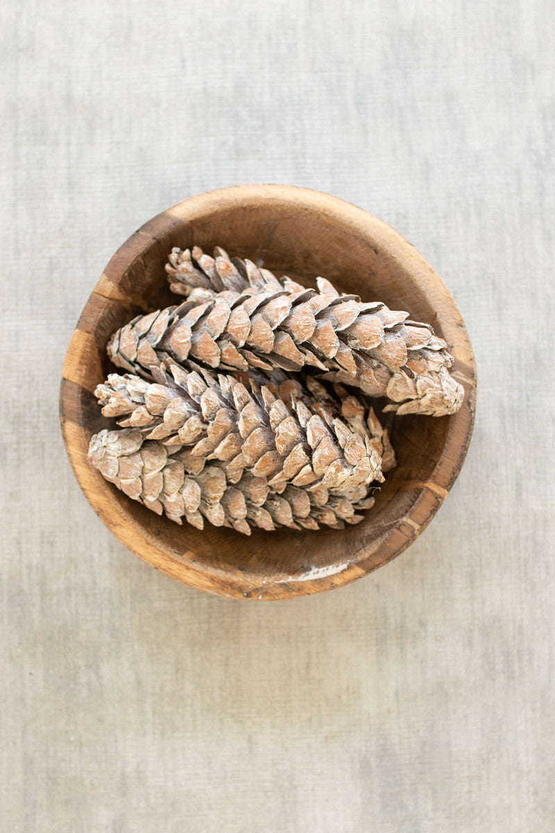 Bag of 6 Strobus Pine Cones  Frosted White