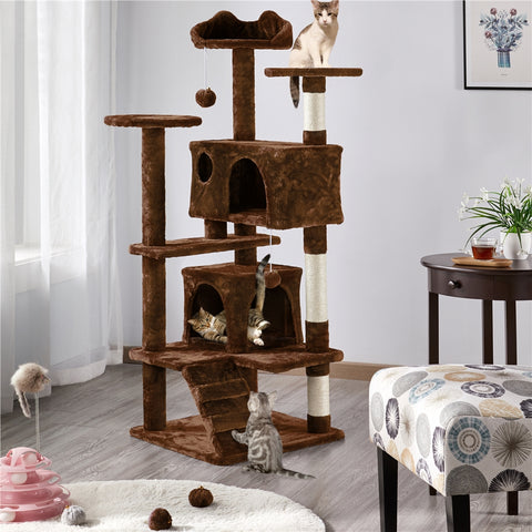 cat condo for big cats