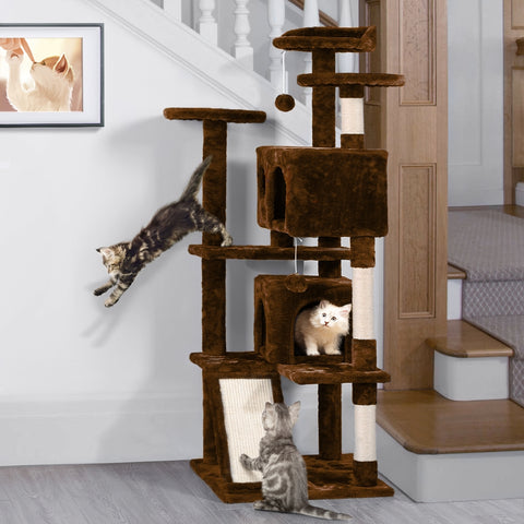 multilevel cat stand